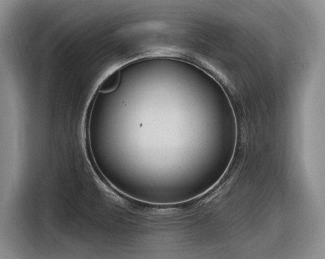 X0000116891471200912221444