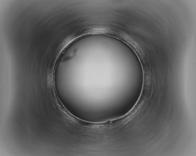 X0000116891473200912221444