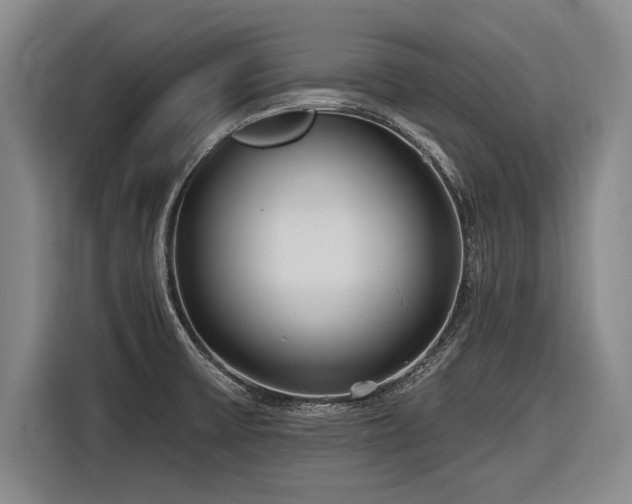X0000116891475200912221443