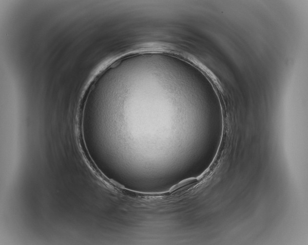 X0000116891477200912221443