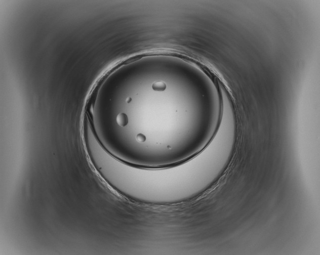 X0000116891480200912221443