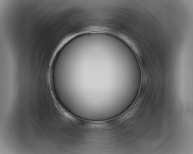 X0000116891486200912221443