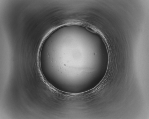 X0000116891488200912221443