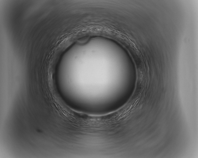 X0000116891489200912221443