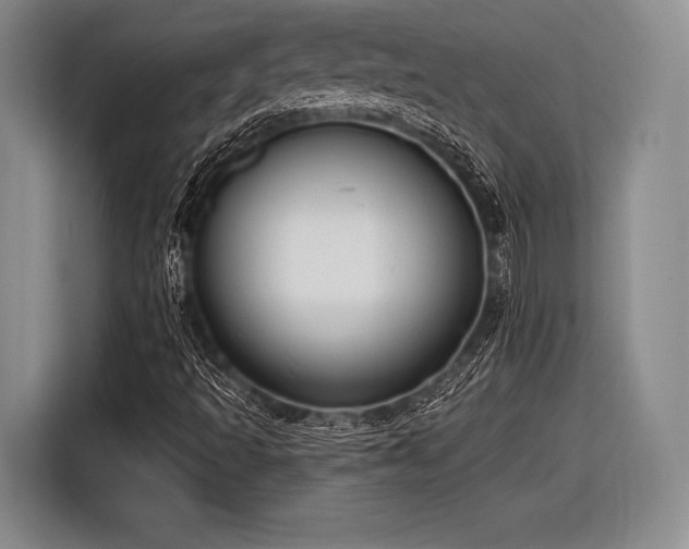 X0000116891493200912221443