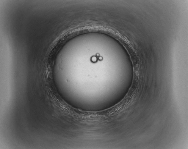 X0000116891495200912221443