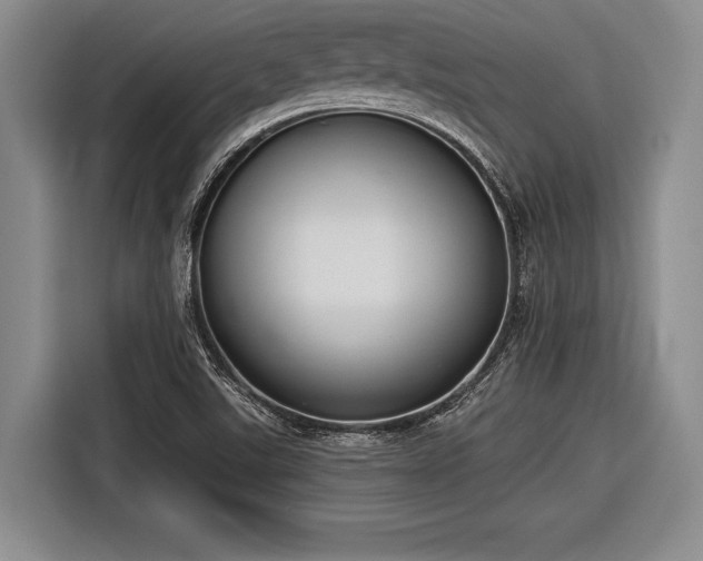 X0000116891507200912221443