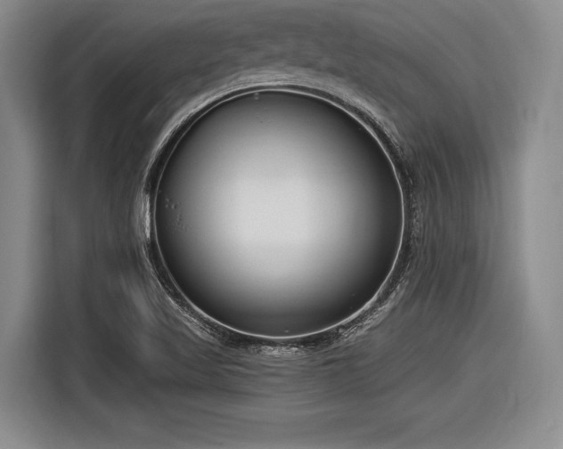 X0000116891509200912221443
