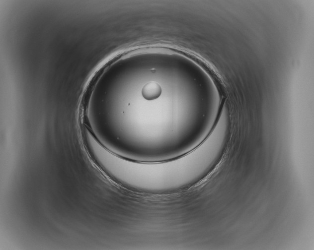 X0000116891510200912221443