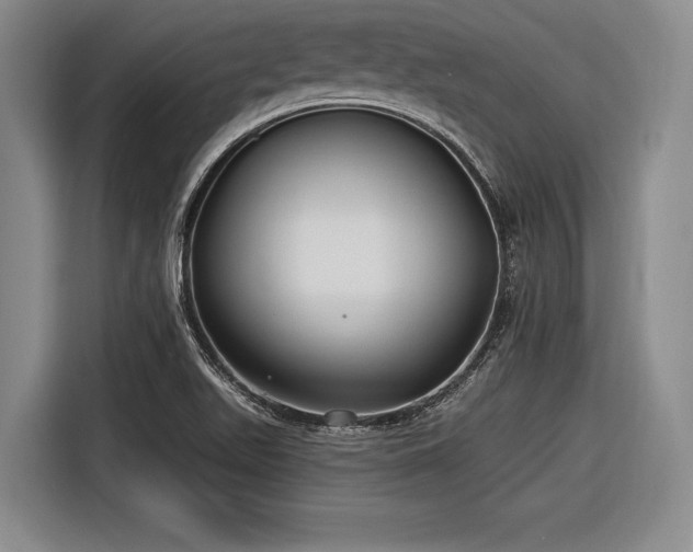 X0000116891511200912221443