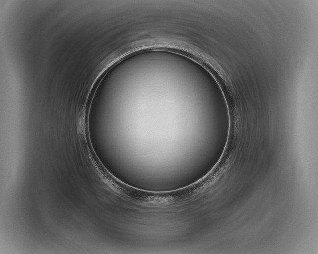X0000116891513200912221443