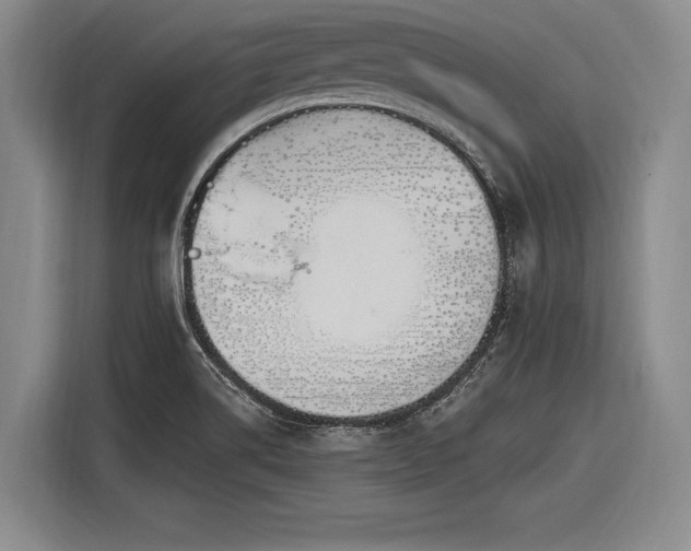 X0000116891514200912221443