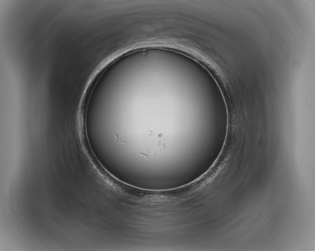 X0000116891517200912221443