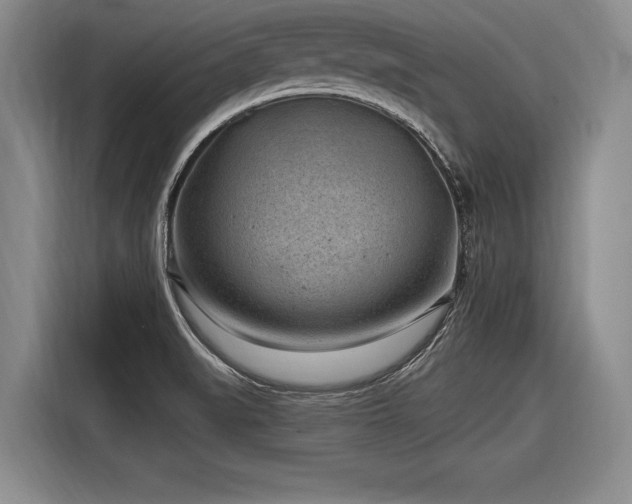 X0000116891519200912221443