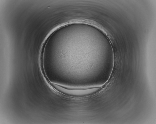 X0000116891523200912221443