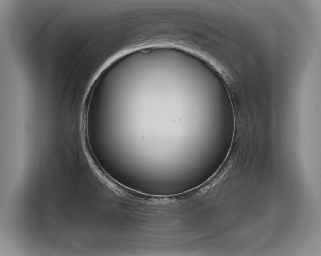 X0000116891526200912221443