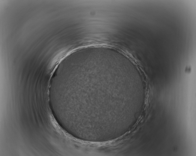 X0000116890002200912291313