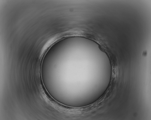 X0000116890004200912291313
