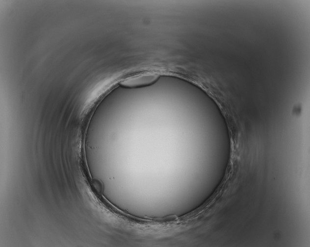 X0000116890005200912291313
