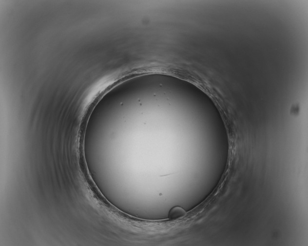 X0000116890006200912291313