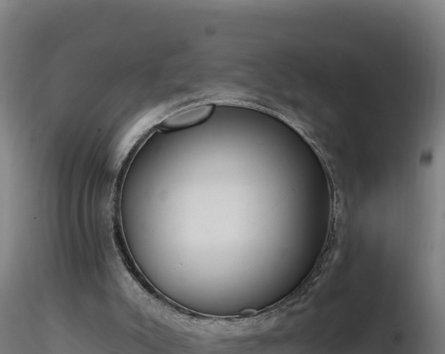 X0000116890007200912291313