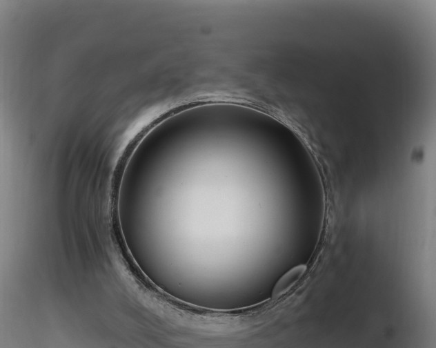 X0000116890008200912291313