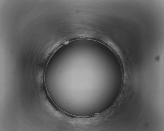 X0000116890009200912291313