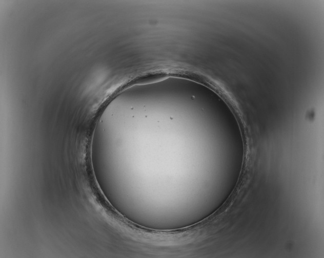 X0000116890010200912291313