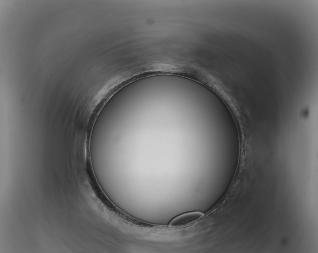 X0000116890011200912291313