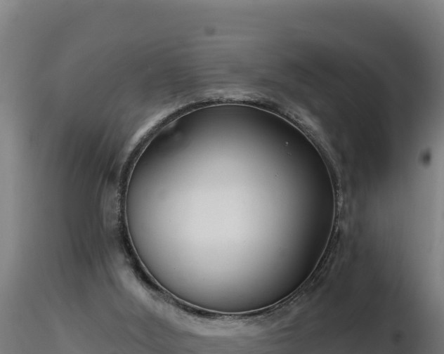 X0000116890012200912291313