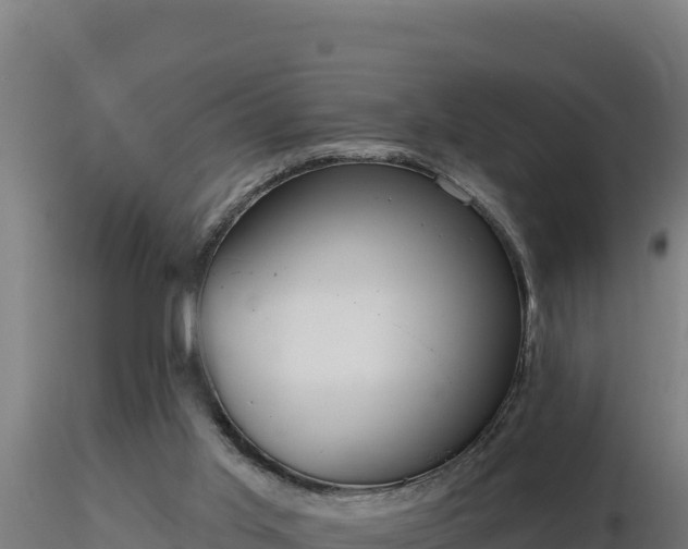 X0000116890013200912291313