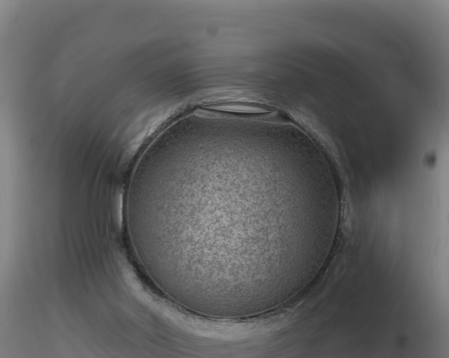 X0000116890014200912291313