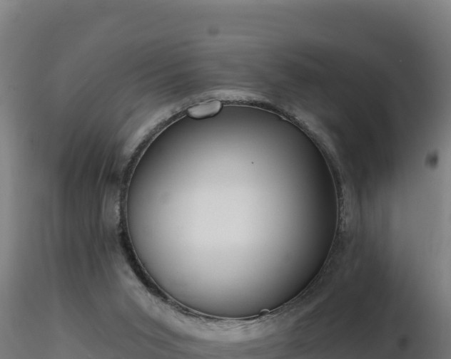 X0000116890015200912291313