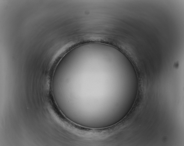 X0000116890016200912291313
