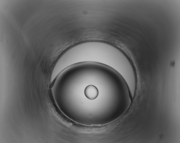 X0000116890017200912291313
