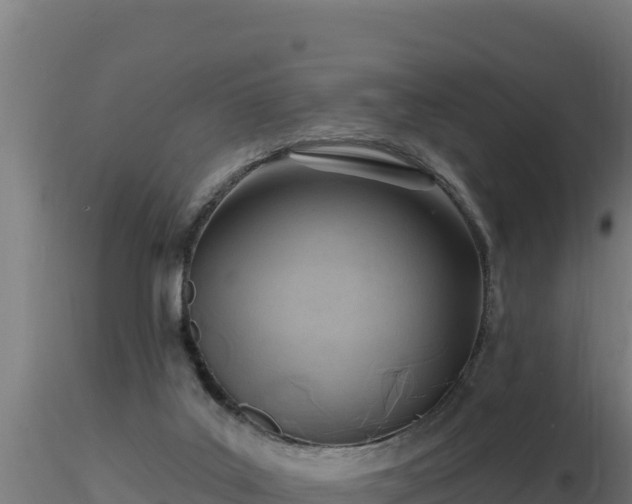 X0000116890019200912291313