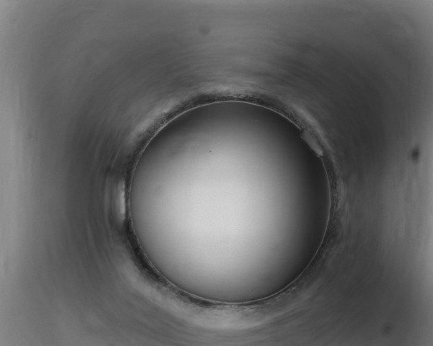 X0000116890020200912291313