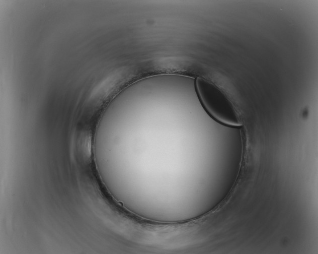 X0000116890021200912291313