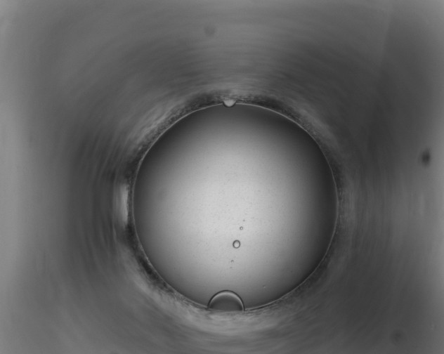 X0000116890022200912291313