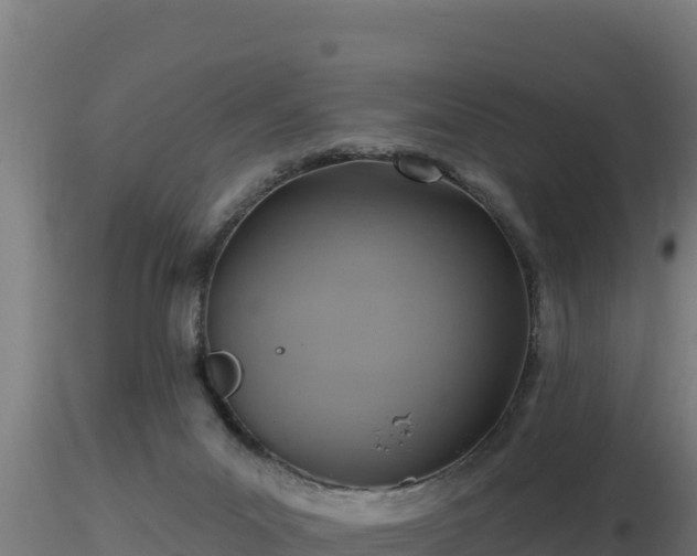 X0000116890023200912291312