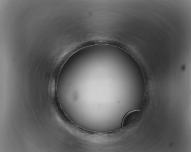 X0000116890024200912291312