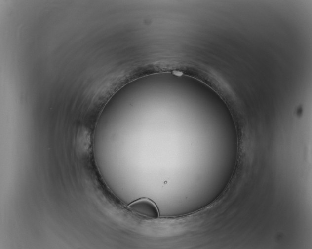 X0000116890025200912291312
