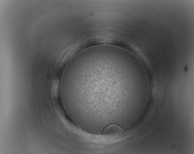 X0000116890026200912291312