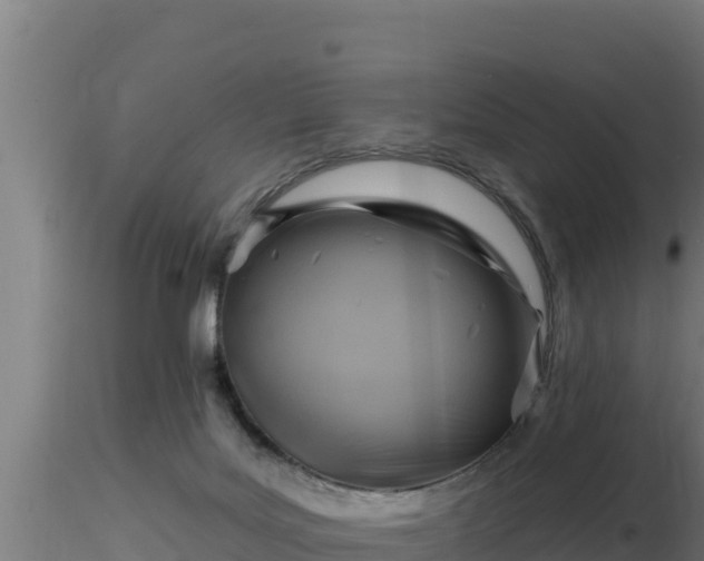 X0000116890027200912291312
