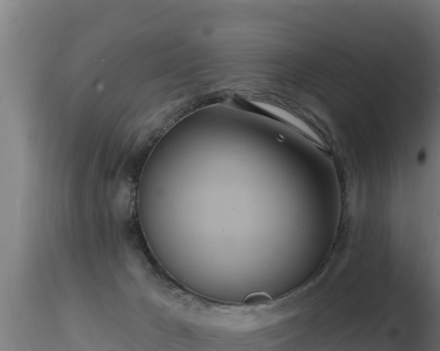 X0000116890029200912291312