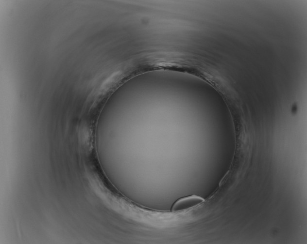 X0000116890031200912291312