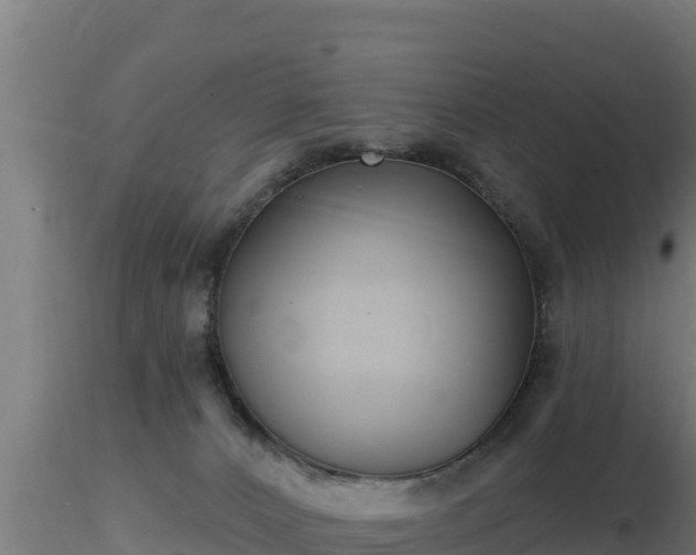 X0000116890032200912291312