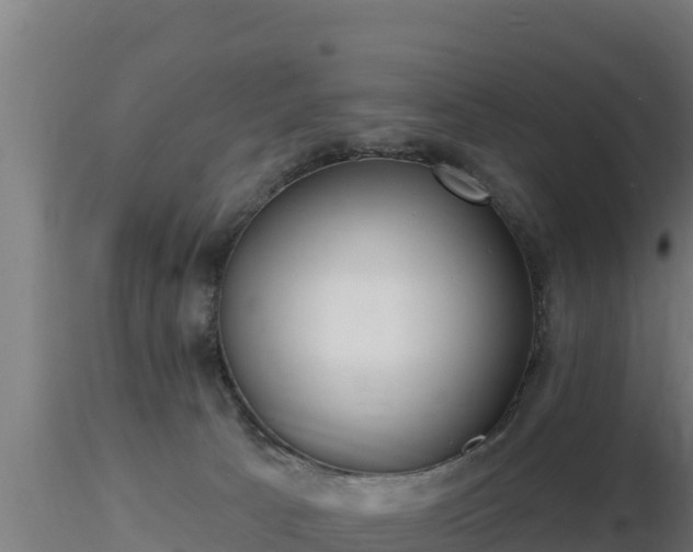 X0000116890033200912291312