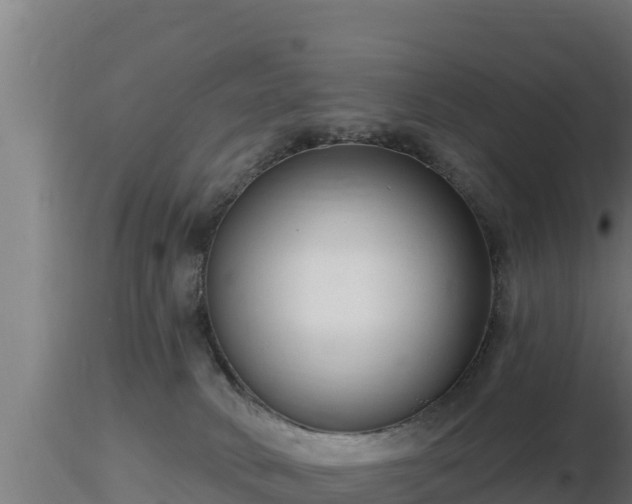 X0000116890034200912291312
