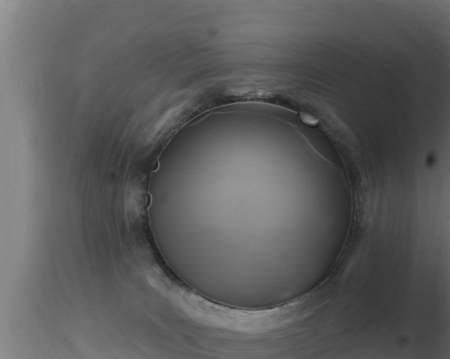 X0000116890035200912291312